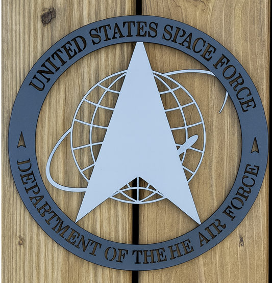 United States Space Force Steel Sign